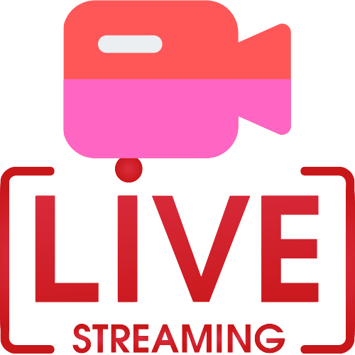 X Video Webcam